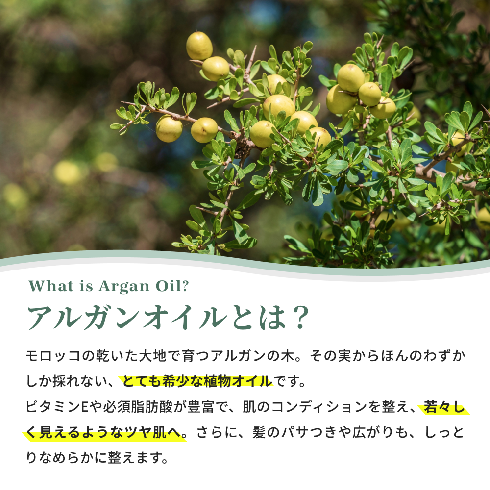 アルガンオイル 100ml 特徴解説