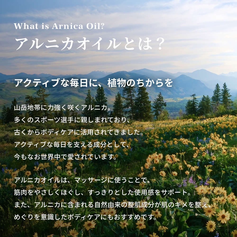 アルニカ マッサージオイル 100ml 特徴解説