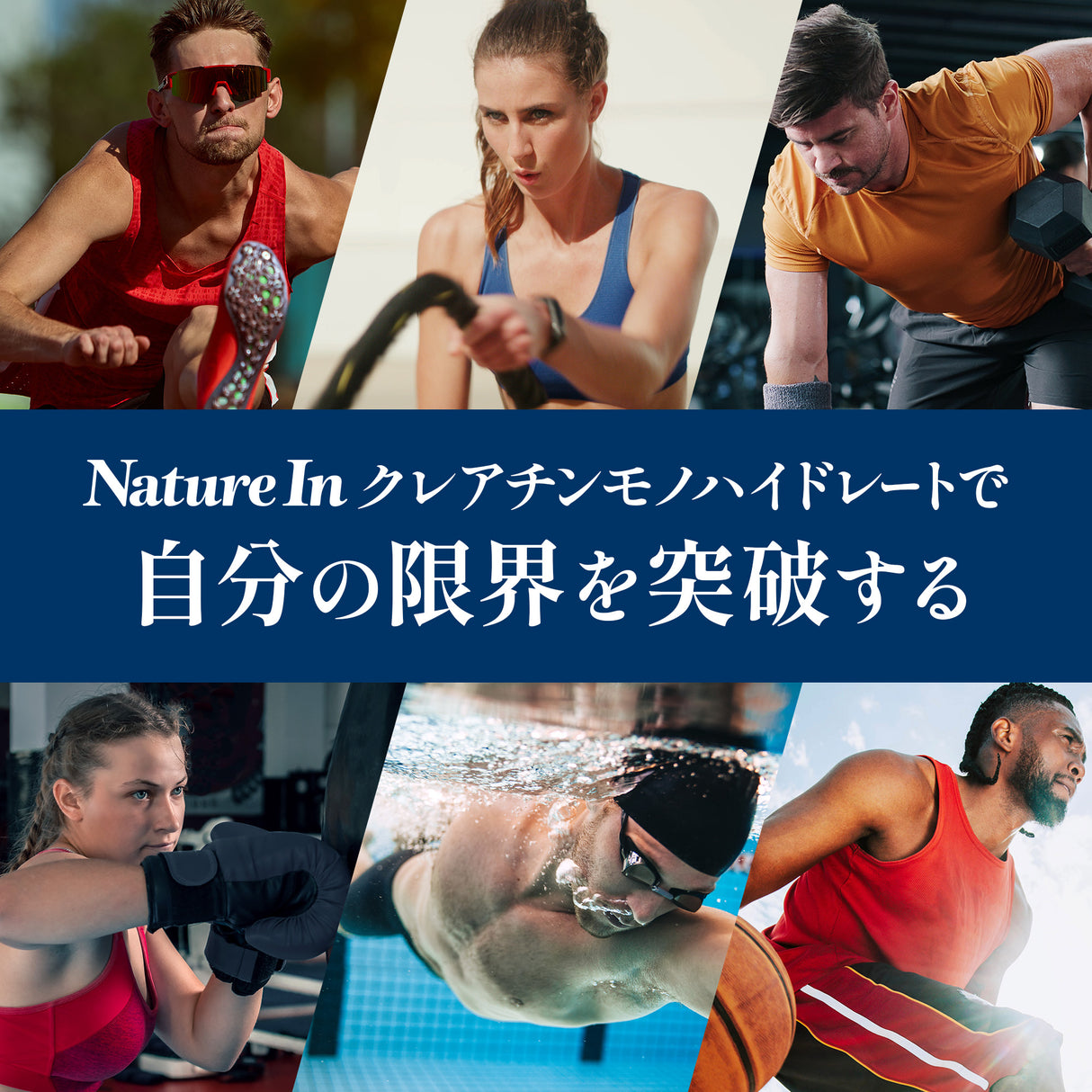 クレアチン パウダー