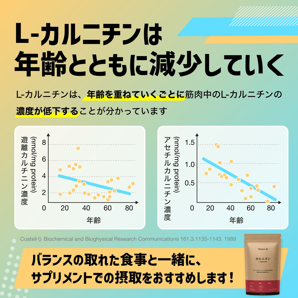 カルニチン サプリメント