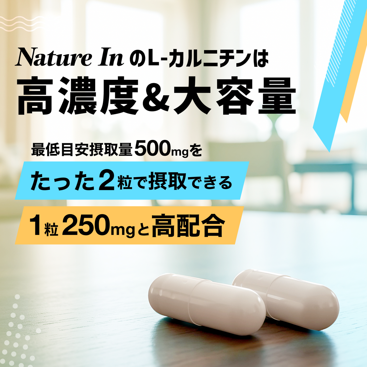 カルニチン サプリメント