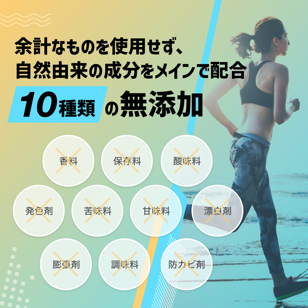 カルニチン サプリメント