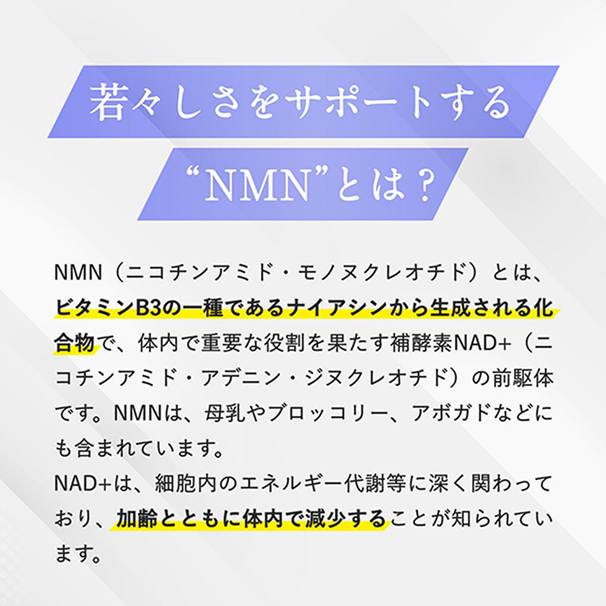 NMN サプリメント