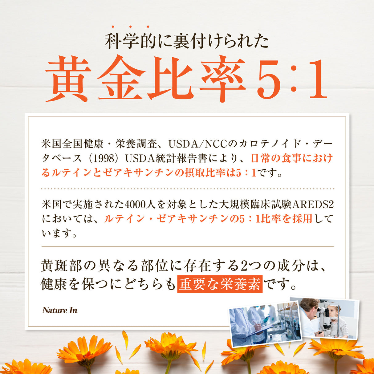 ルテイン サプリメント