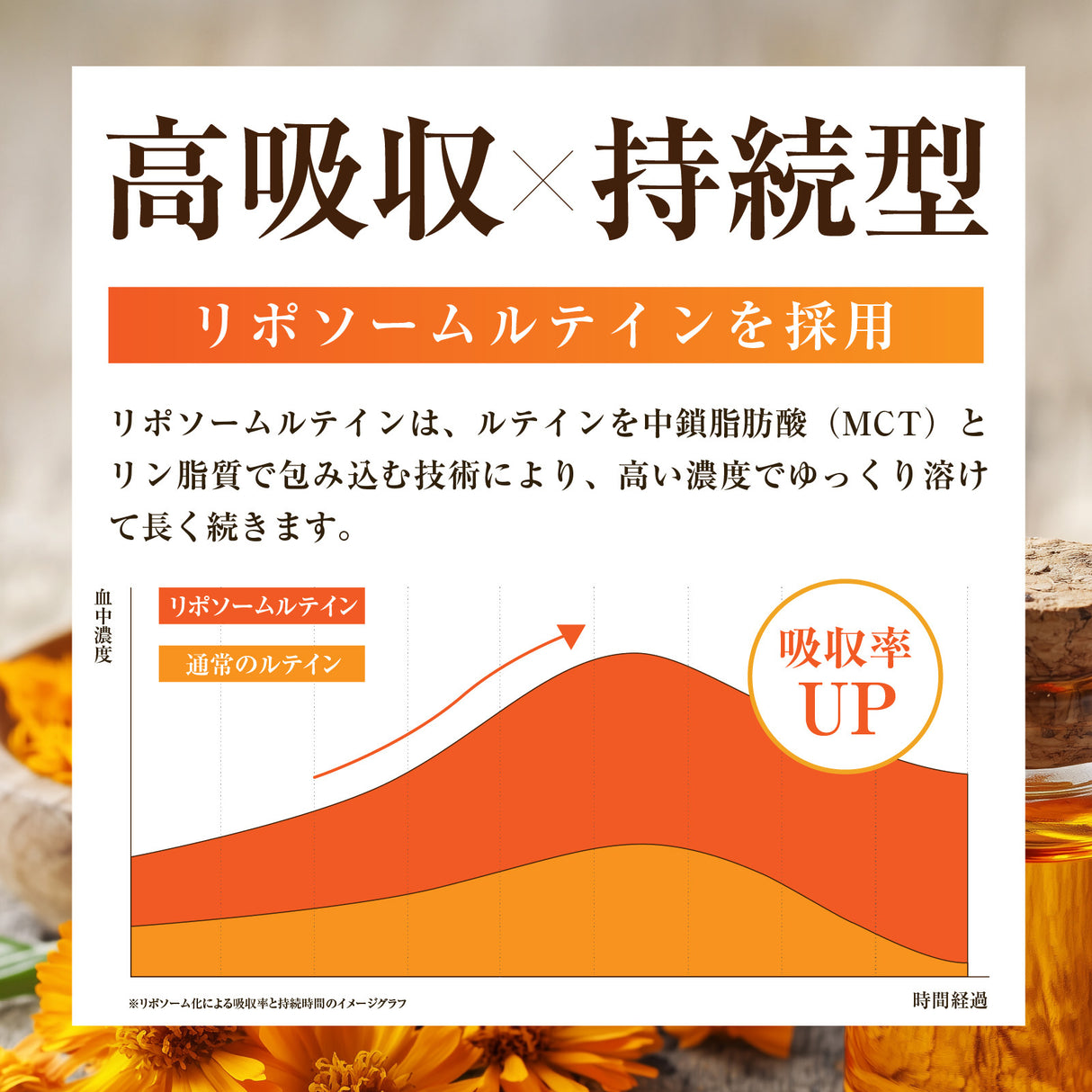 ルテイン サプリメント