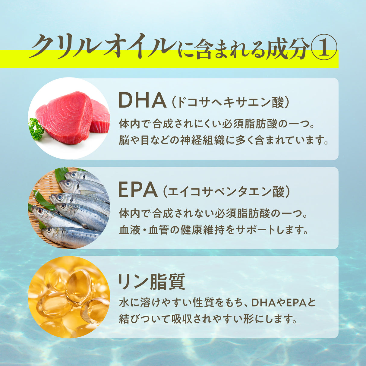 クリルオイル サプリメント