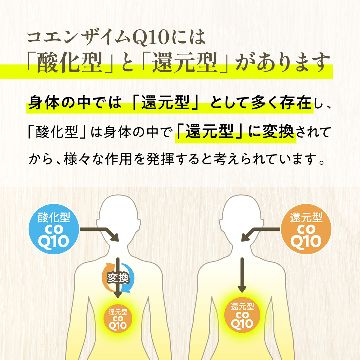 還元型コエンザイムQ10 サプリメント