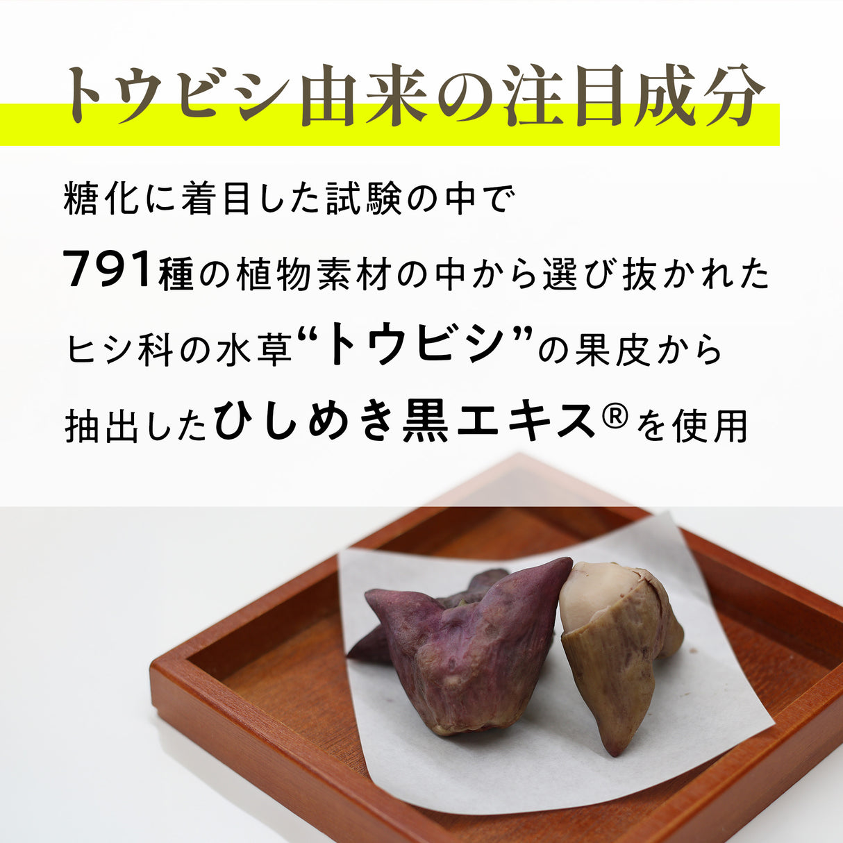 ヒシ茶の粒 サプリメント
