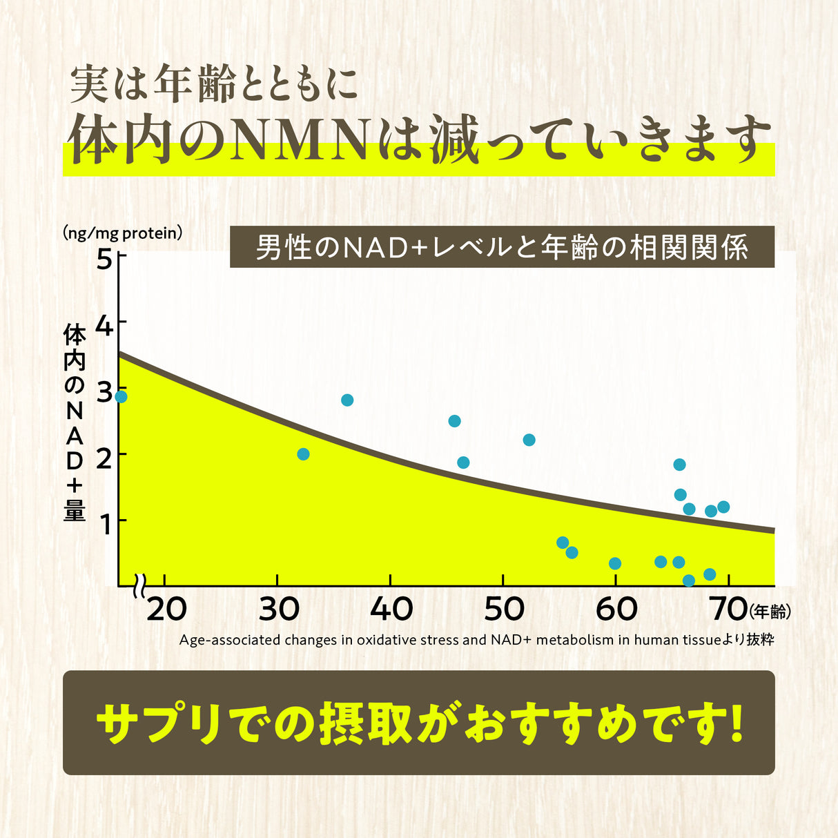 NMN サプリメント