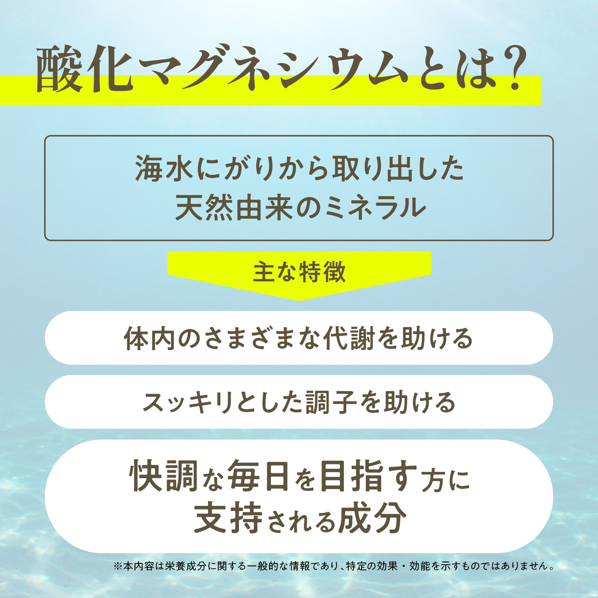 酸化マグネシウム サプリメント