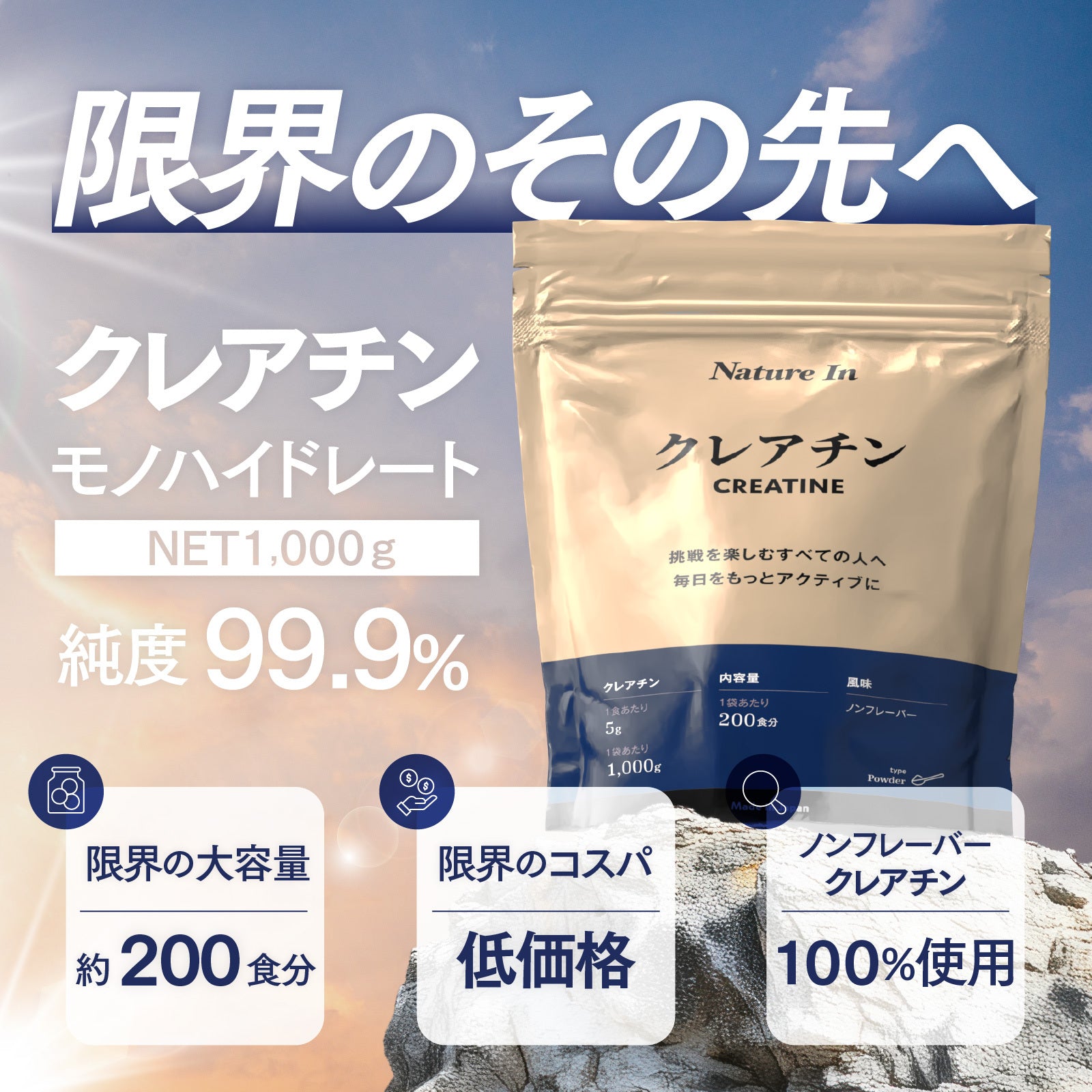 限界コスパ】大容量 1kgクレアチン 200食分 Nature In – Nature In