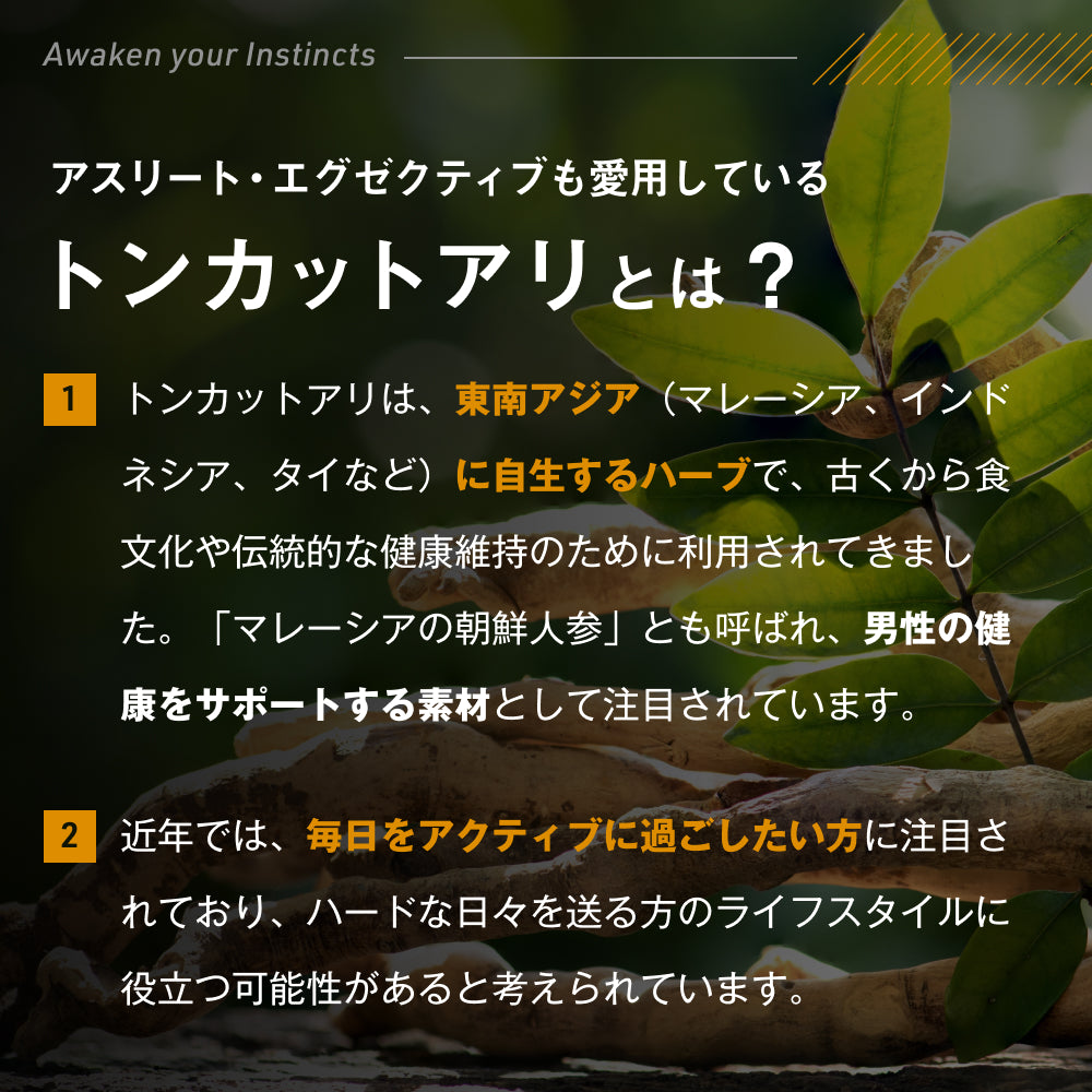 トンカットアリ サプリメント