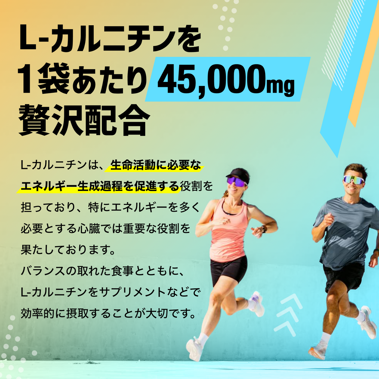 カルニチン サプリメント