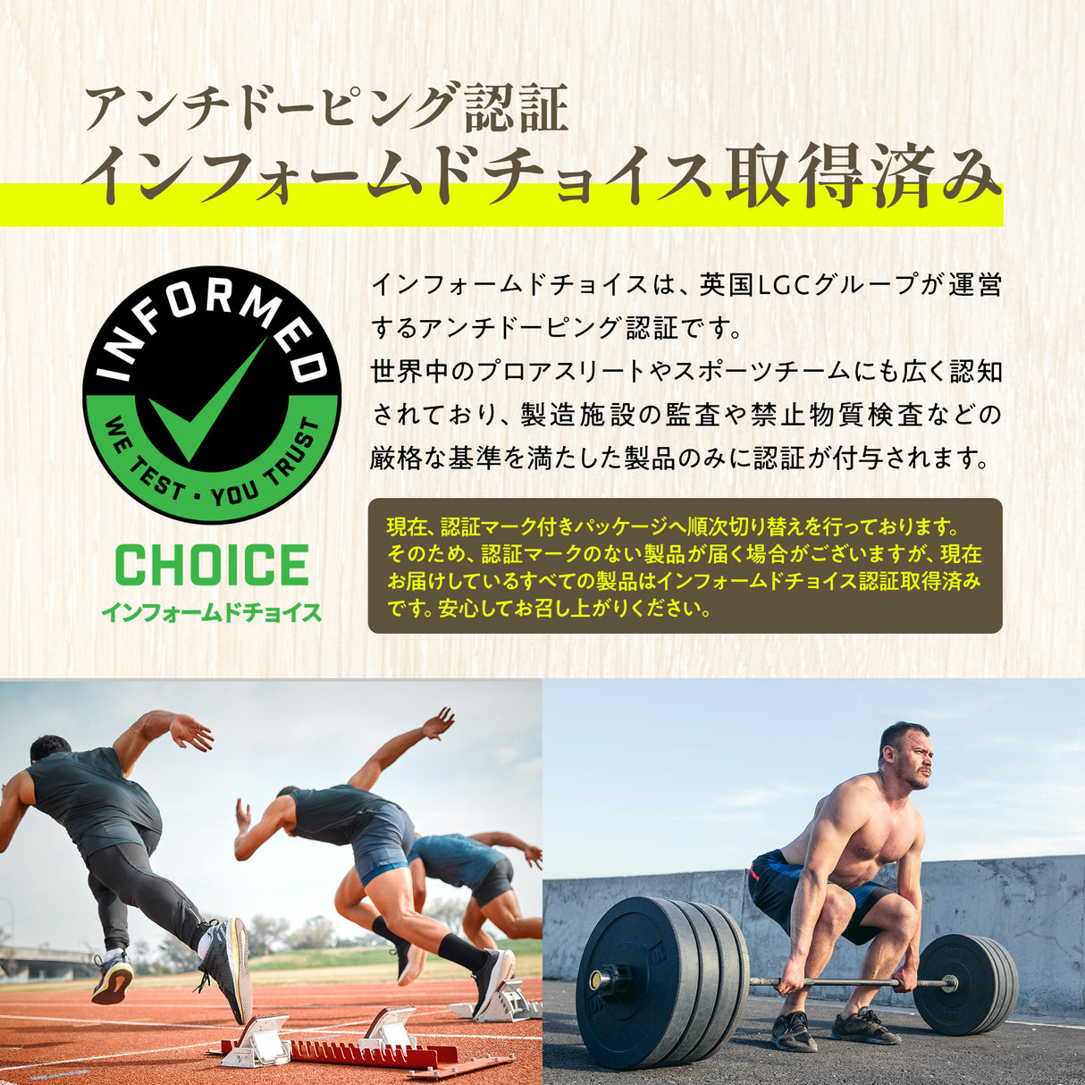 クレアチン パウダー