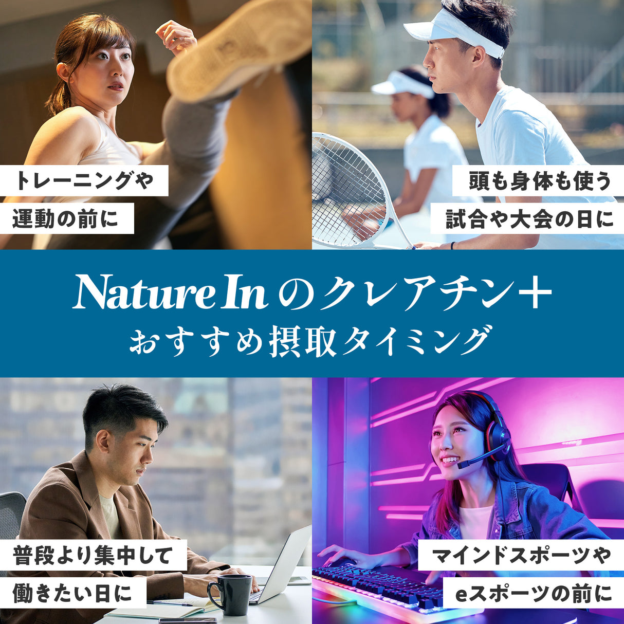 クレアチン＋ パウダー