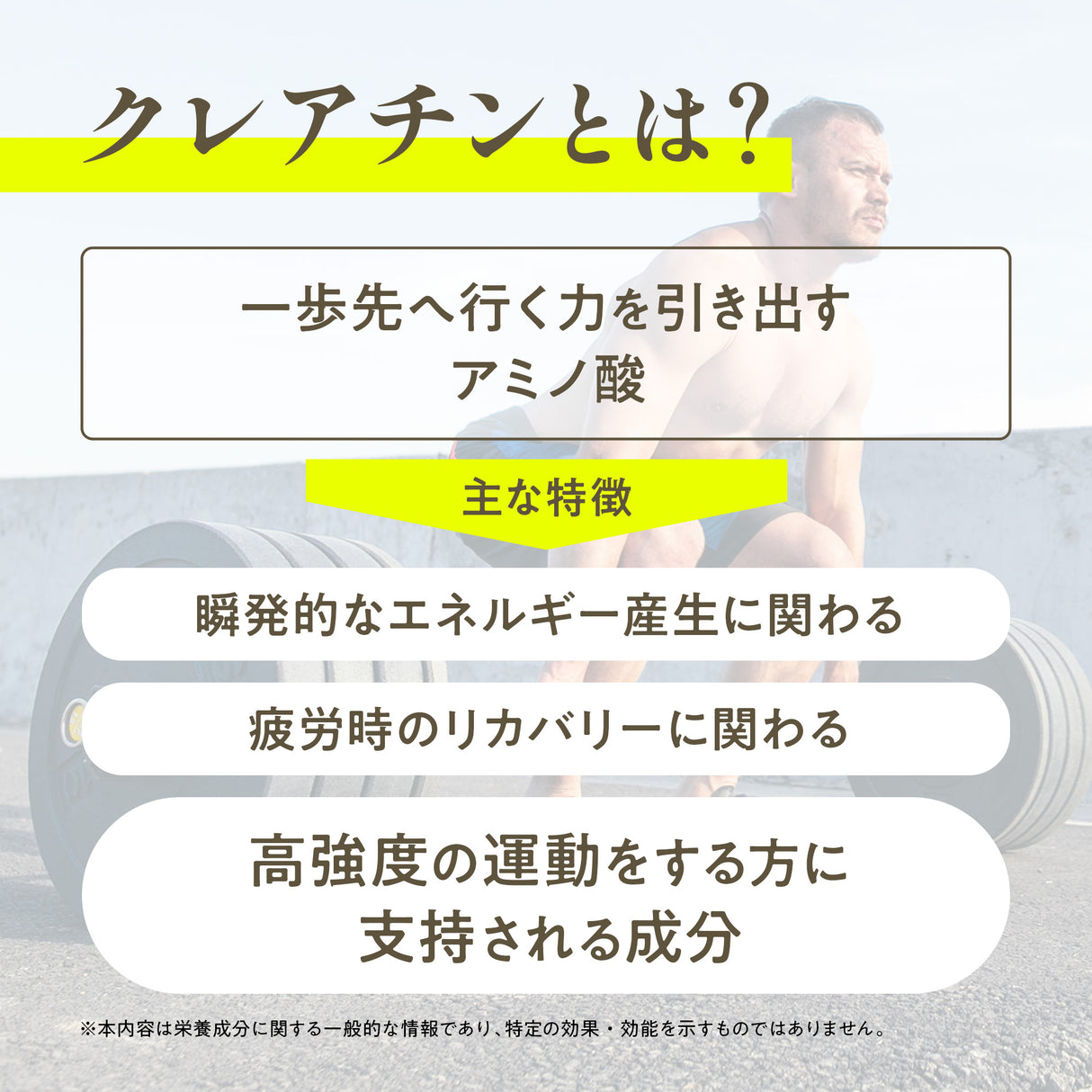 クレアチン＋ パウダー