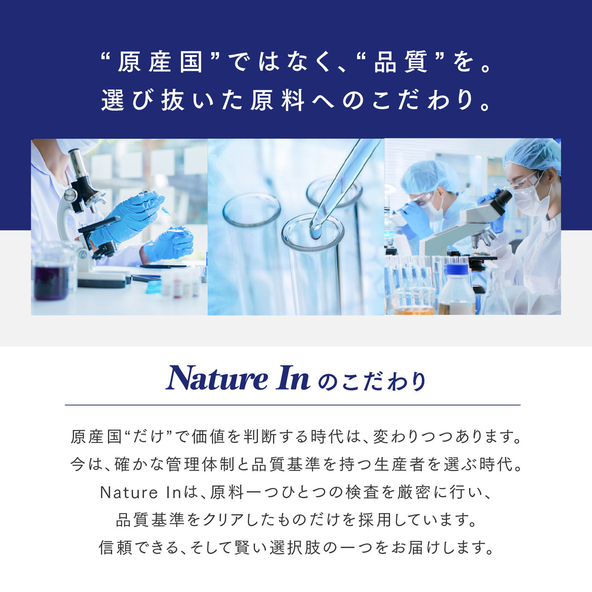 クレアチン パウダー