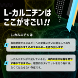 カルニチン サプリメント