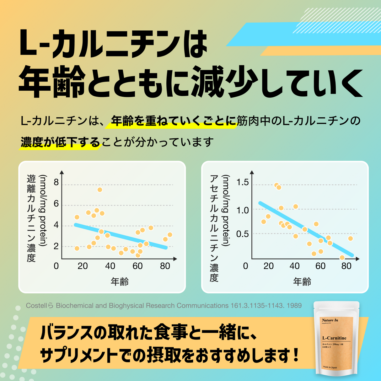 カルニチン サプリメント