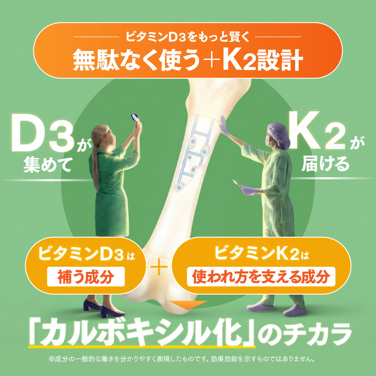 ビタミンD3+K2 サプリメント 特徴解説