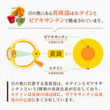 ルテイン サプリメント