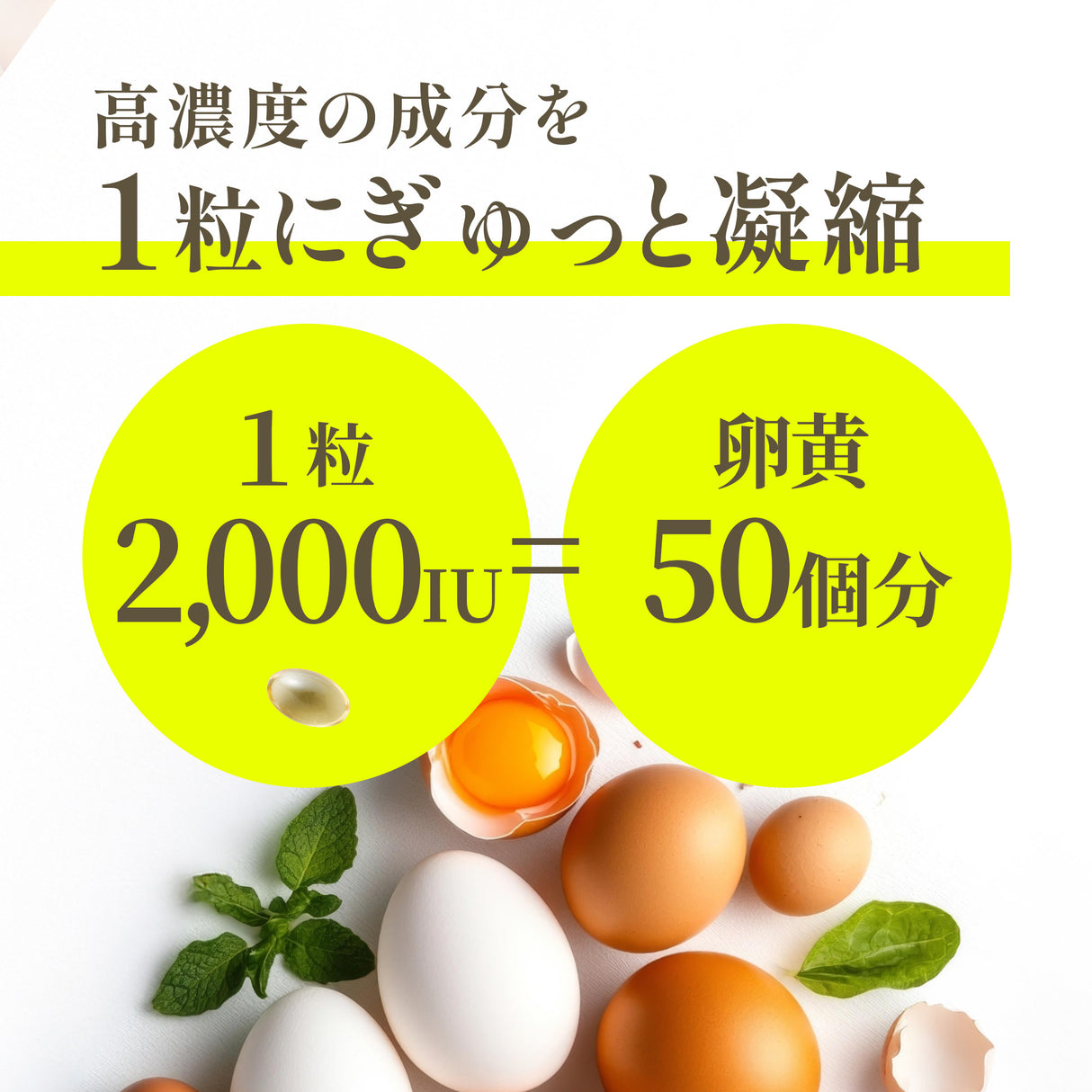 ビタミンD3 サプリメント