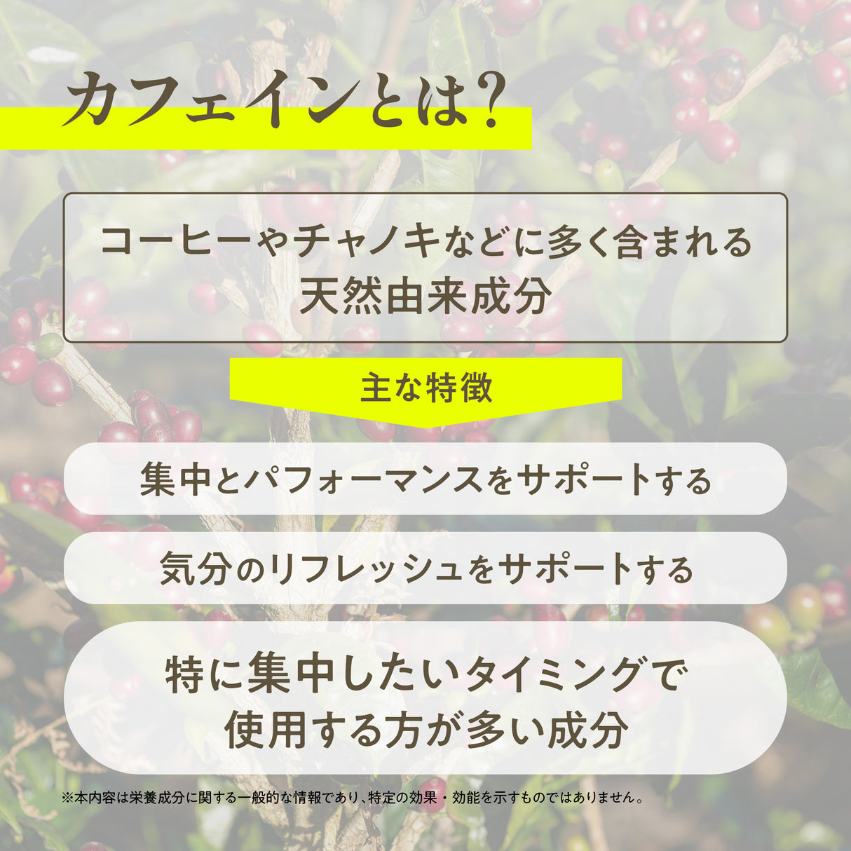 カフェイン サプリメント