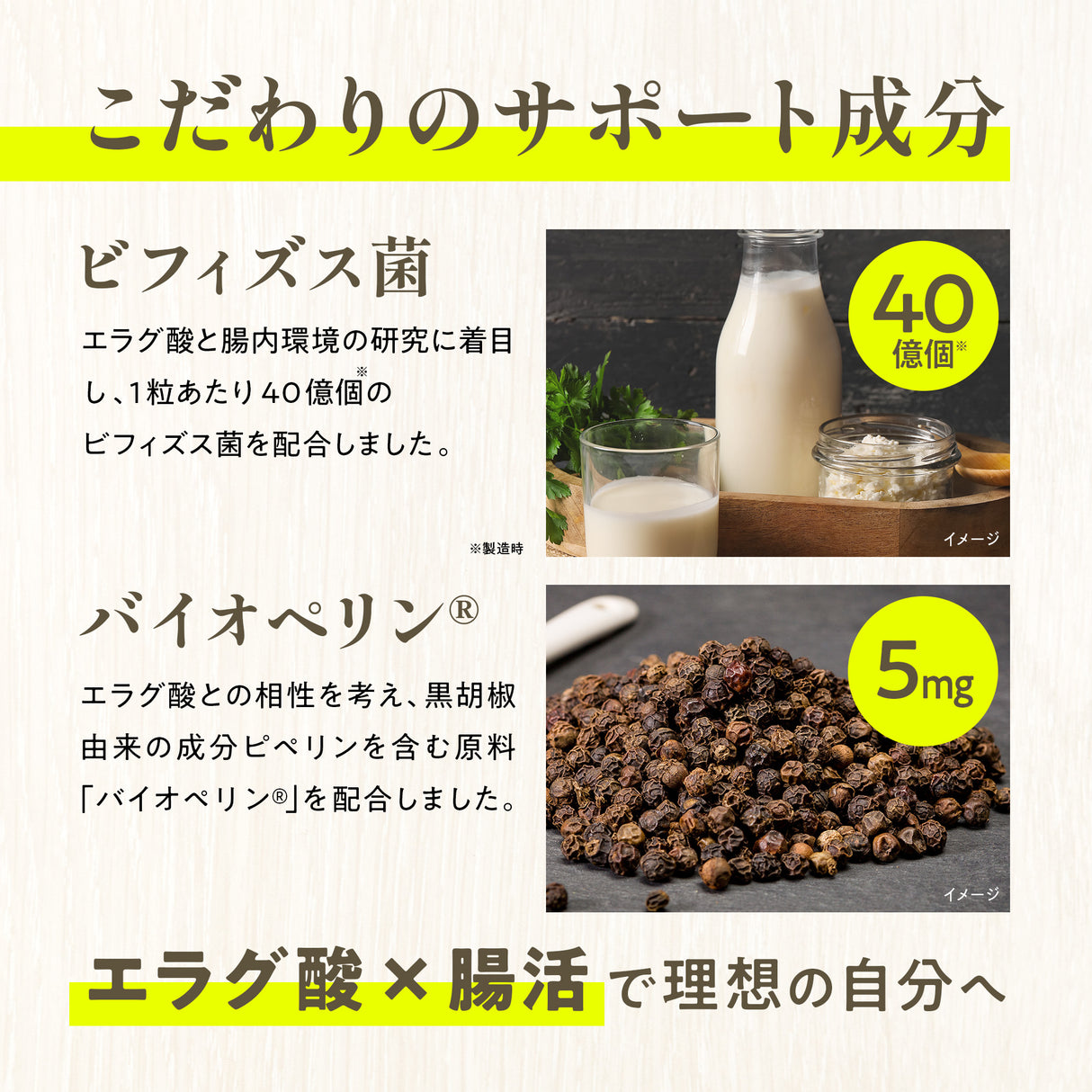 ザクロ由来 エラグ酸 サプリメント