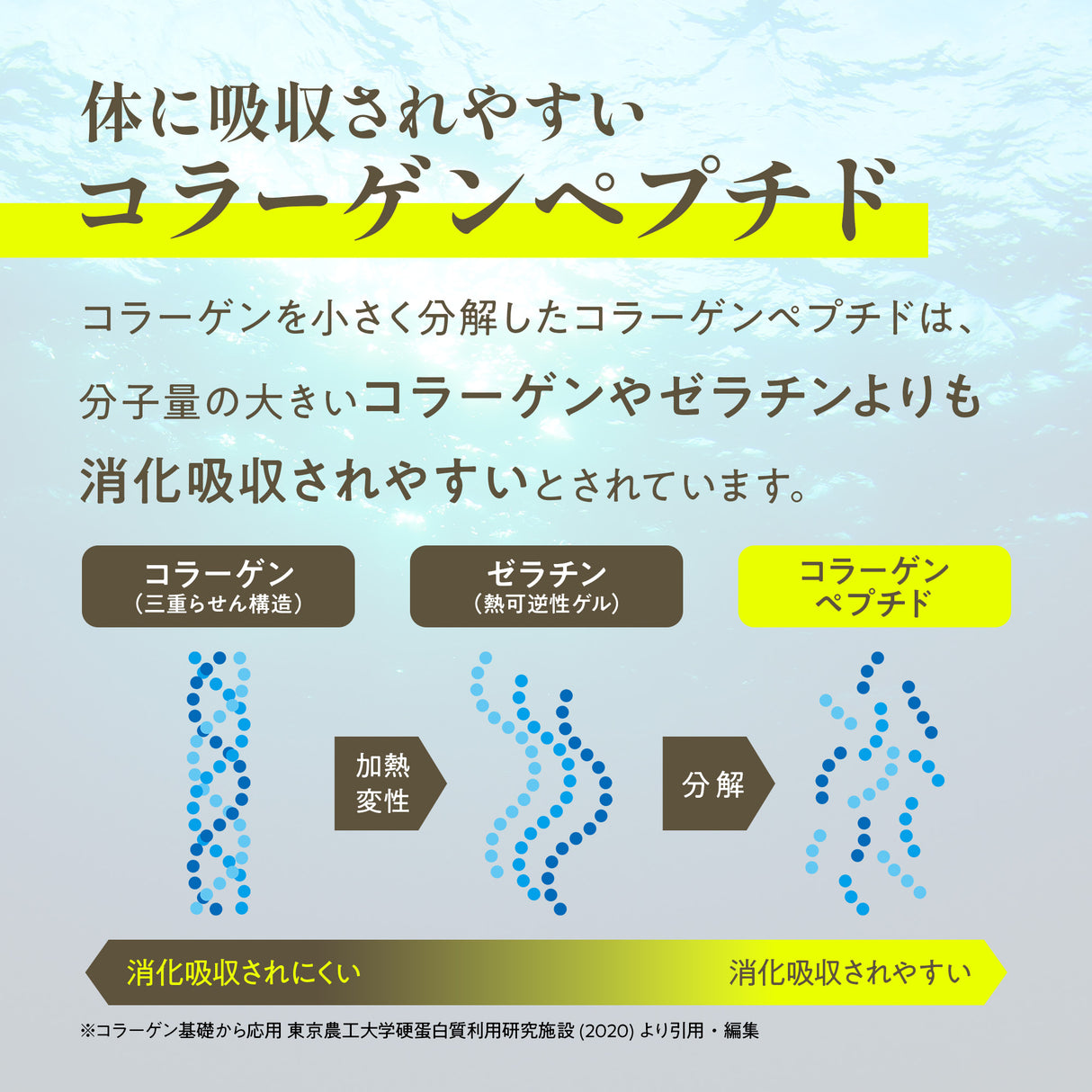 フィッシュコラーゲン パウダー