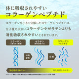 フィッシュコラーゲン パウダー