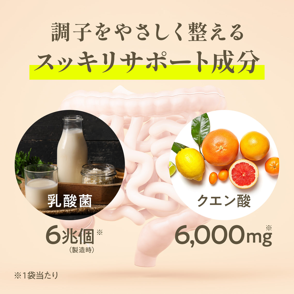 酸化マグネシウム サプリメント