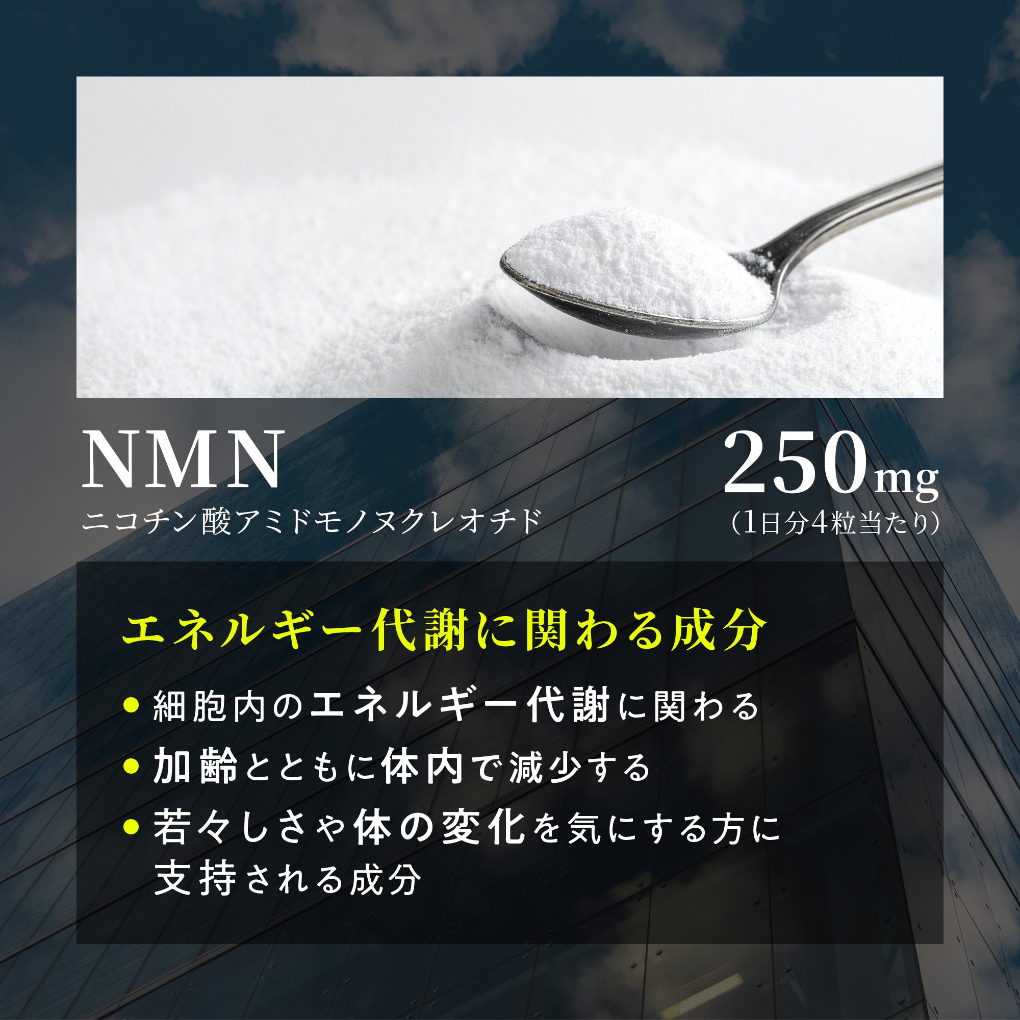 Nature In TESTO NMN サプリメント – Nature In（ネイチャーイン）公式