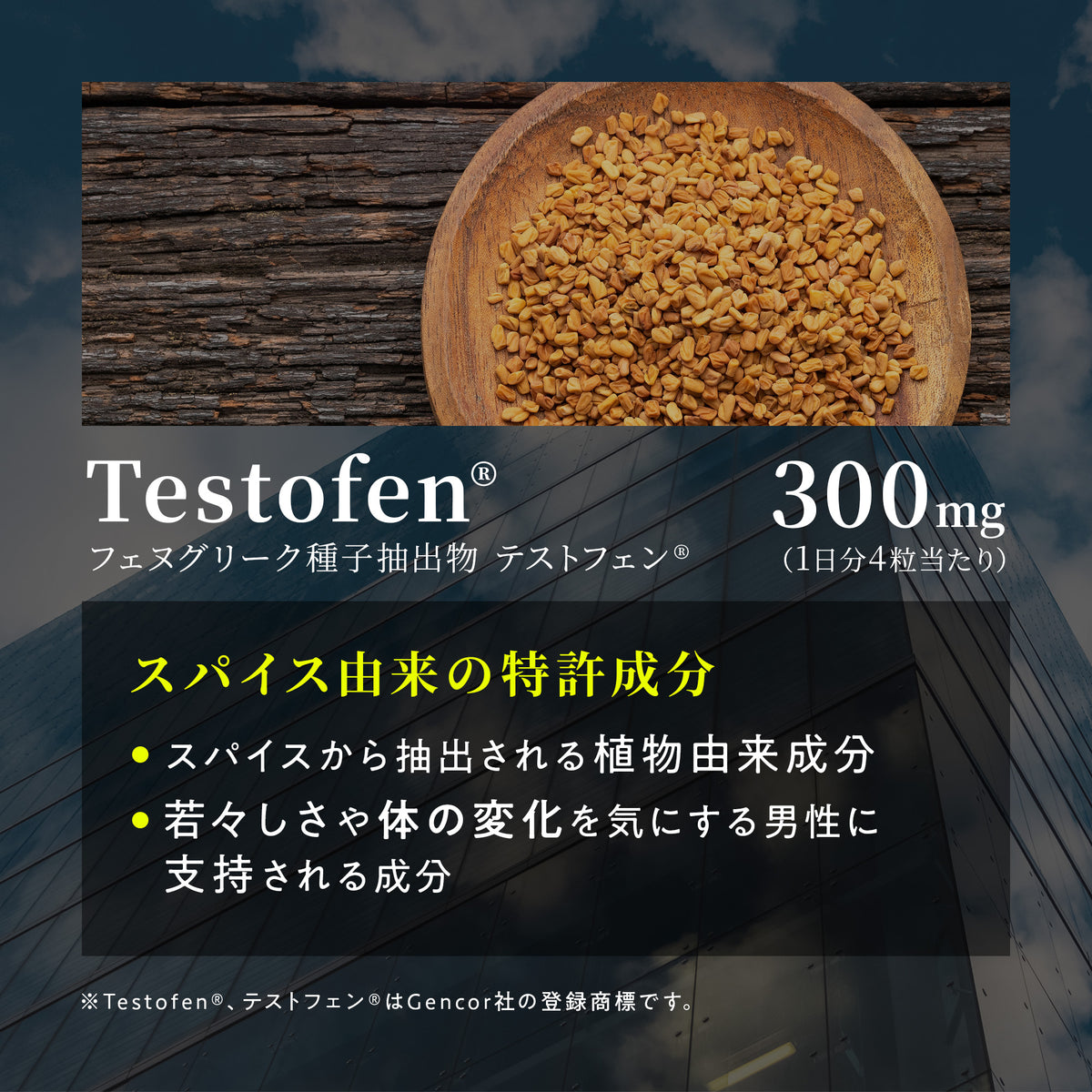 TESTO NMN