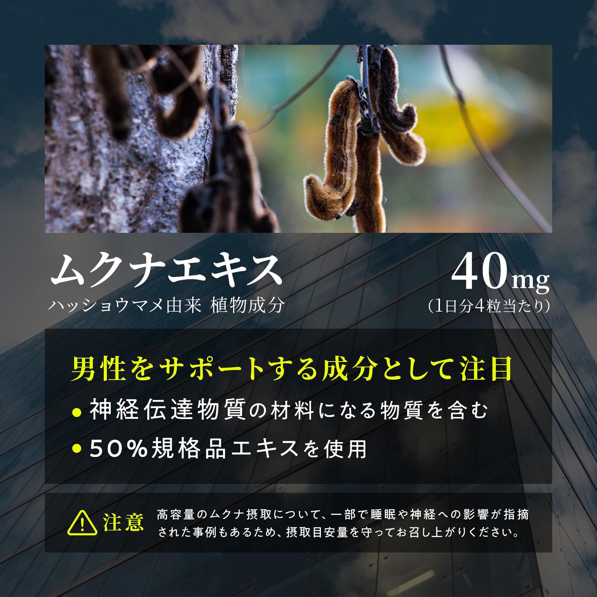 Nature In TESTO NMN サプリメント – Nature In（ネイチャーイン）公式